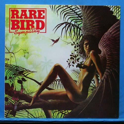 Rare Bird (sympathy)