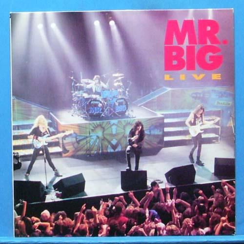 Mr. Big live (미개봉)