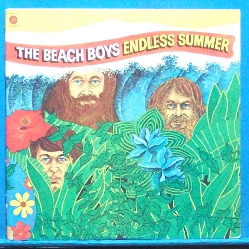the Beahc Boys (endless summer) 2LP&#039;s