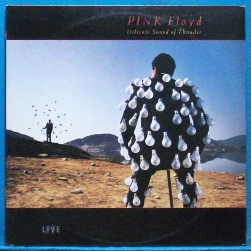 Pink Floyd (delicate sound of thunder) 2LP&#039;s 