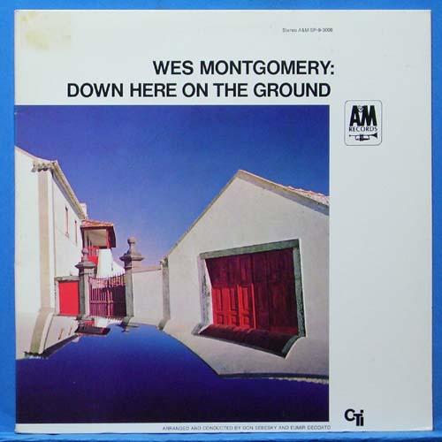 Wes Montgomery (down here on the ground) 미국 A&amp;M 스테레오 초반