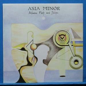 Asia Minor (between flesh and divine)
