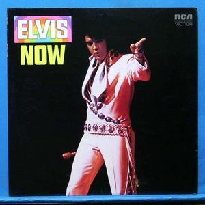 Elvis Presley (now)
