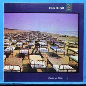 Pink Floyd (a momentary lapse of reason)