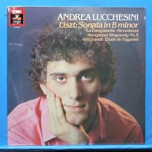 Andrea Lucchesini, Liszt piano works (미개봉)