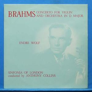 Endre Wolf, Brahms violin concerto