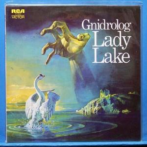 Gnidrolog (lady lake) 미개봉