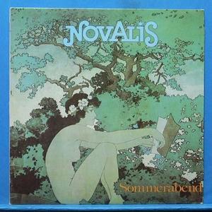 Novalis (sommerabend)