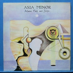 Asia Minor (between flesh and divine)