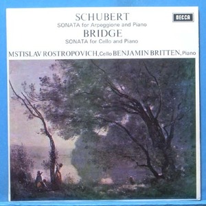 Rostropovich, Schubert arpeggione sonata 초반 