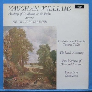 Vaughan Williams 종달새의 비상