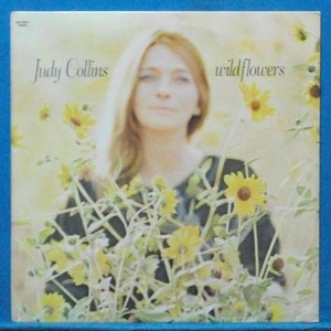 Judy Collins (wildflowers)
