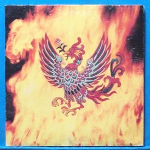 Grand Funk (phoenix) 미국 초반