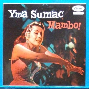 Yma Sumac (mambo) 해피 투게데 &quot;야간매점&quot; 음악 (그리스 재반)