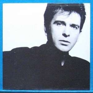 Peter Gabriel (so) 영국반