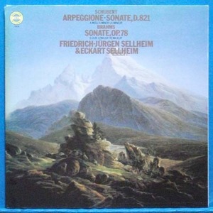 F-J Sellheim, Schubert arpeggione sonata