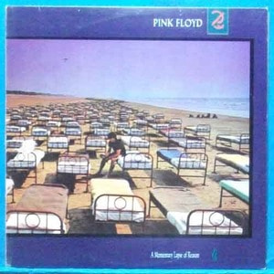 Pink Floyd (a momentary lapse of reason)