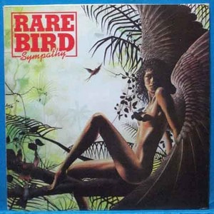Rare Bird (sympathy)