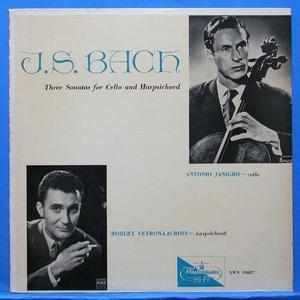 Janigro, Bach cello