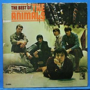 the best of the Animals