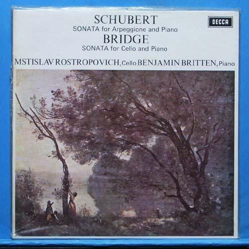 Rostropovich, Schubert arpeggione sonata (미개봉)