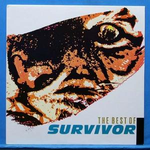 best of Survivors