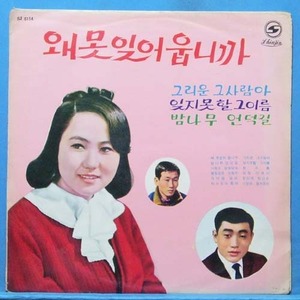 호정,황진,박종화,김상희