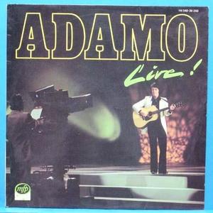 Adamo live