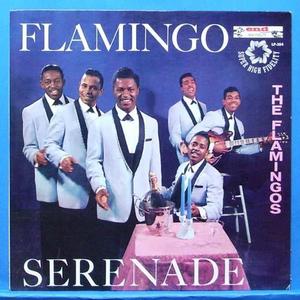 the Flamingos (flamingo serenade)